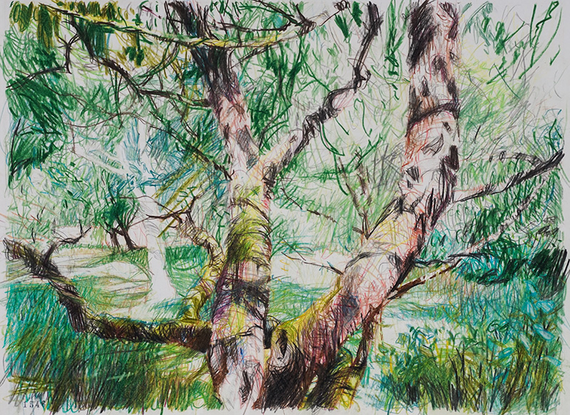 Alter Stöckelerscher Obstgarten - Grafrath